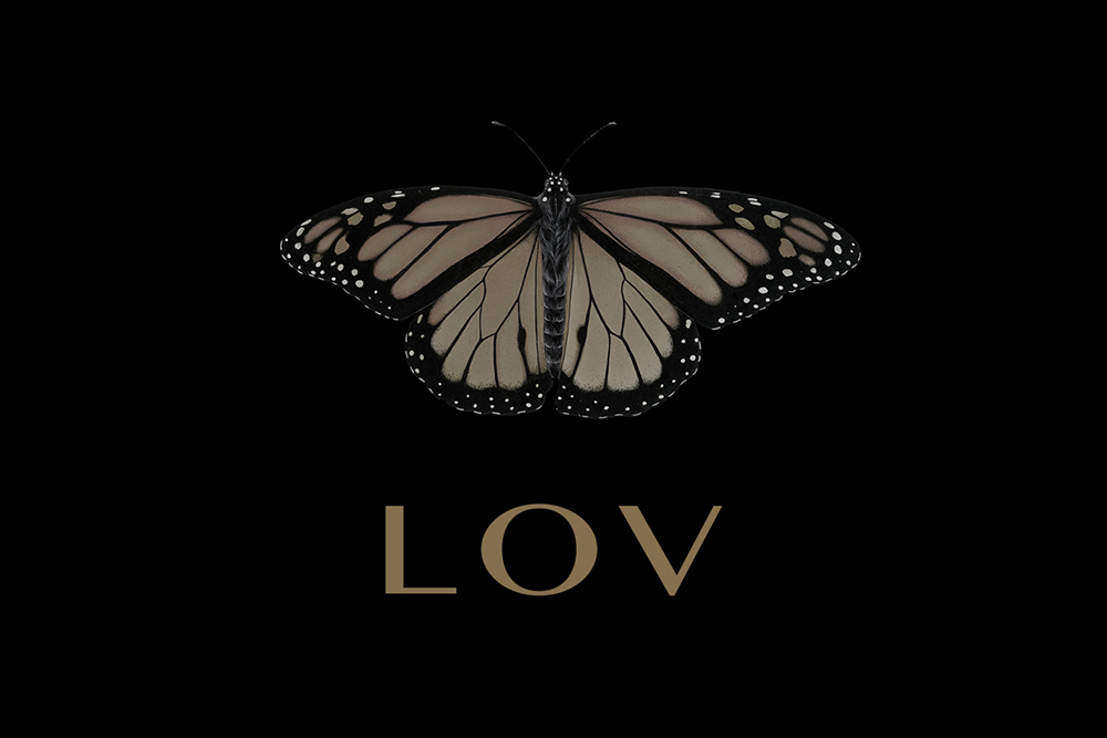  LOV – Unconventional by Design 